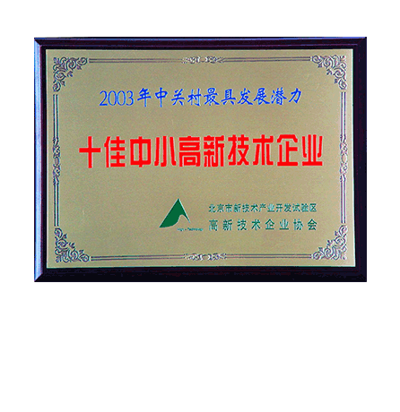 2003年中关村最具生长潜力 十佳中小学高新手艺企业